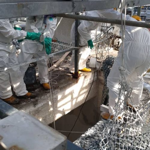 4a3a557d-54b4-40e8-8d26-ddd9e1e31b0f